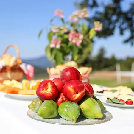 Feriegård Na Skaluc - Country Estate & Glamping